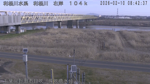 tonme2026021009_image