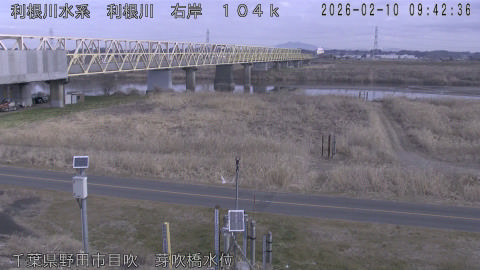 tonme2026021010_image