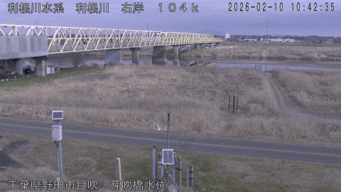 tonme2026021011_image