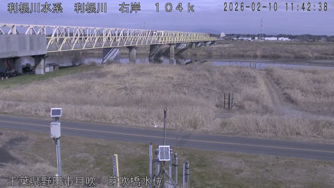 tonme2026021012_image