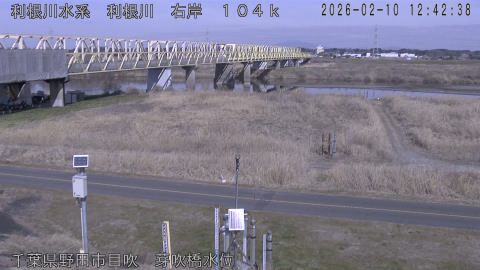 tonme2026021013_image