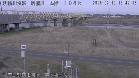 tonme2026021014_image