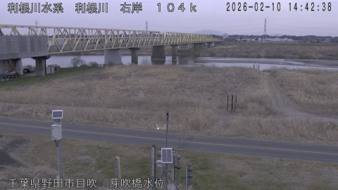 tonme2026021015_image