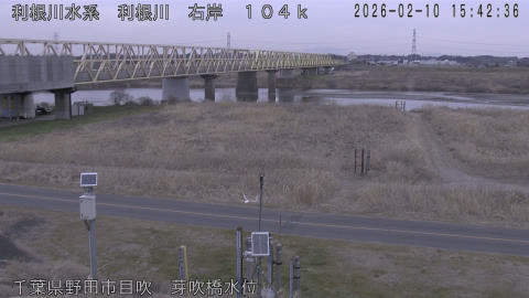 tonme2026021016_image