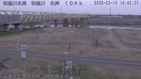 tonme2026021017_image