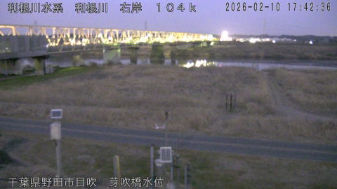 tonme2026021018_image