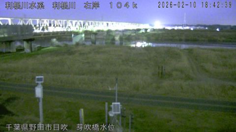 tonme2026021019_image