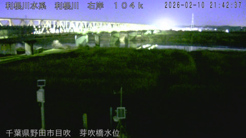 tonme2026021022_image