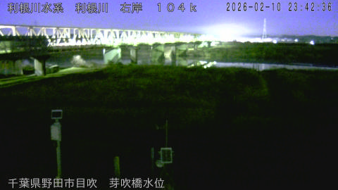 tonme2026021100_image