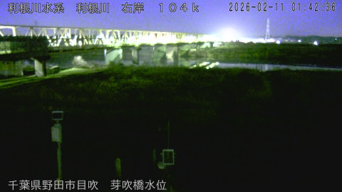 tonme2026021102_image