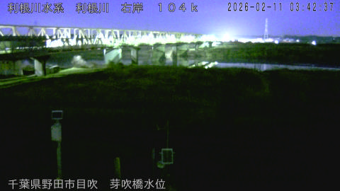 tonme2026021104_image