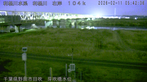 tonme2026021106_image