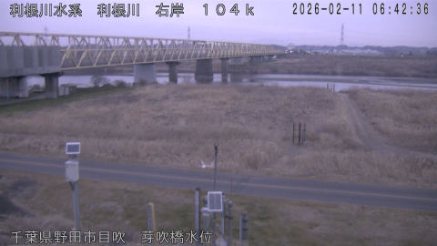 tonme2026021107_image