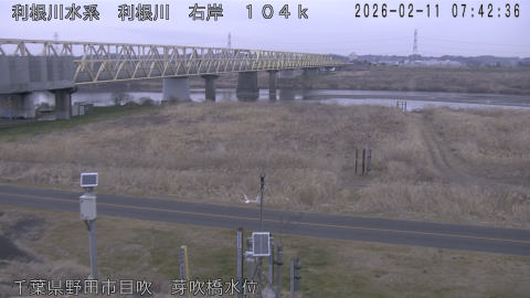 tonme2026021108_image