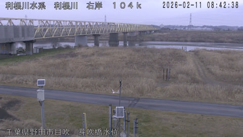 tonme2026021109_image