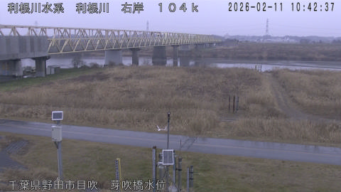 tonme2026021111_image