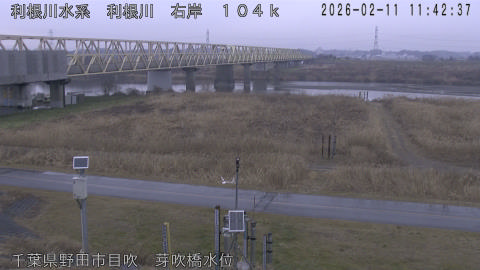 tonme2026021112_image