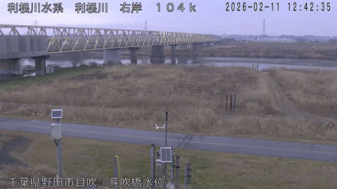 tonme2026021113_image