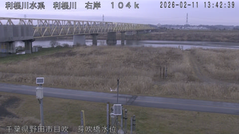 tonme2026021114_image