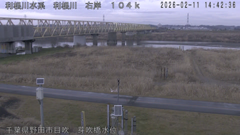 tonme2026021115_image