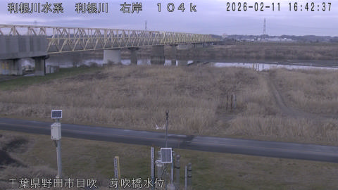 tonme2026021117_image