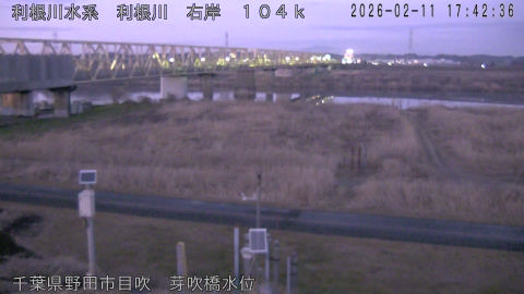 tonme2026021118_image