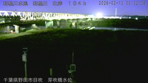 tonme2026021301_image