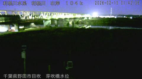 tonme2026021302_image