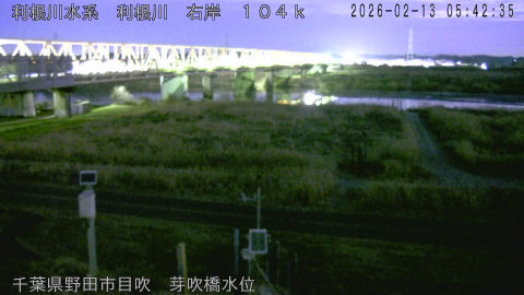 tonme2026021306_image