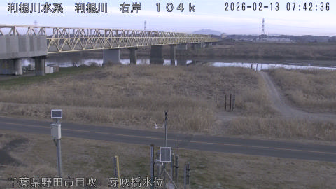 tonme2026021308_image