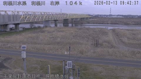 tonme2026021310_image