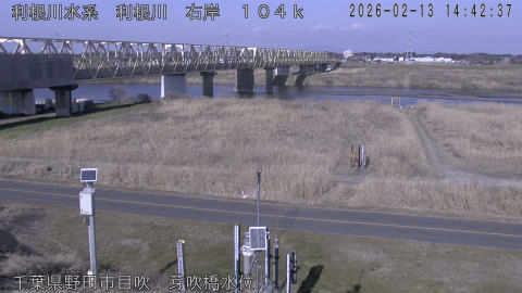 tonme2026021315_image