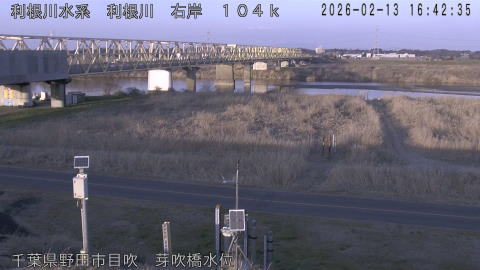 tonme2026021317_image