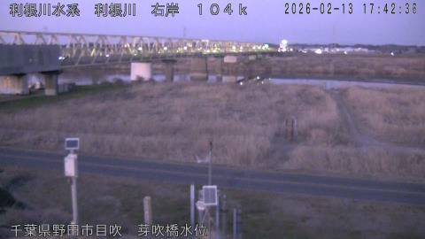 tonme2026021318_image