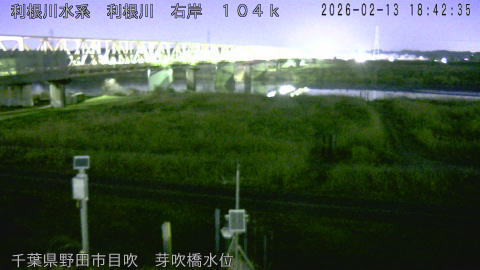 tonme2026021319_image