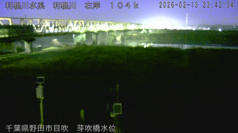 tonme2026021400_image