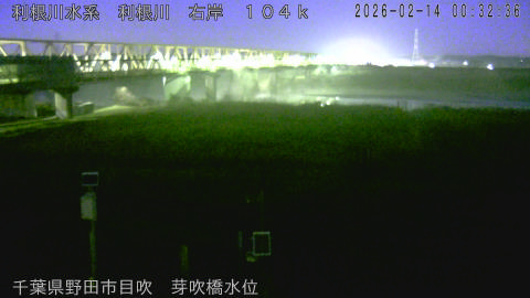 tonme2026021401_image