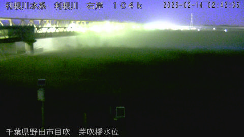 tonme2026021403_image