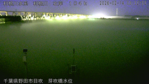 tonme2026021404_image