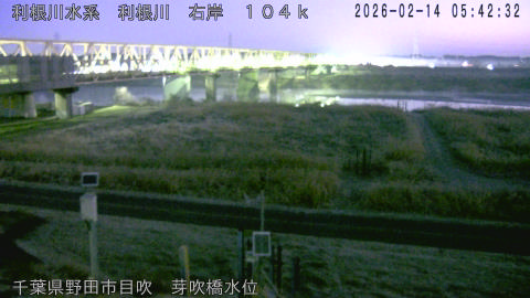 tonme2026021406_image