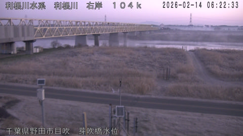 tonme2026021407_image