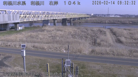 tonme2026021410_image