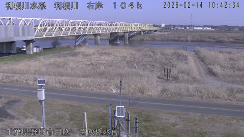 tonme2026021411_image