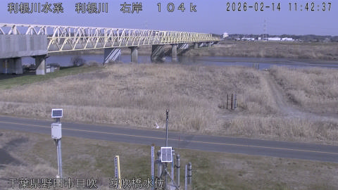 tonme2026021412_image