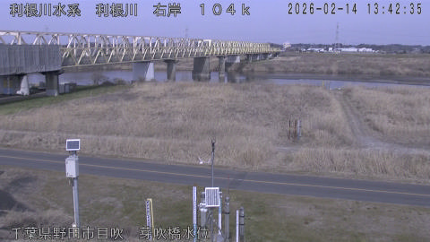 tonme2026021414_image