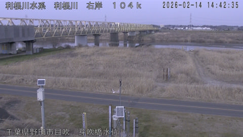 tonme2026021415_image