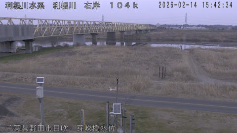 tonme2026021416_image