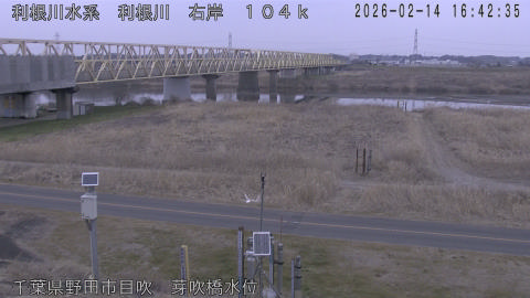 tonme2026021417_image