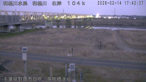 tonme2026021418_image