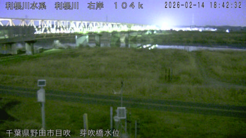 tonme2026021419_image